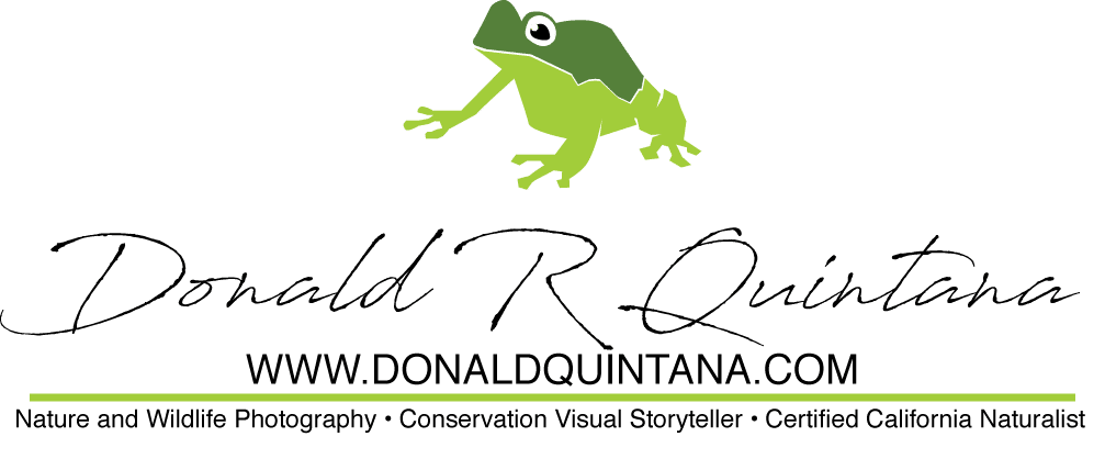 Donald Quintana Nature and Wildlife Photography